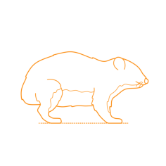 Animals Hyraxes Sketch Svg Vector, Free Vectors File